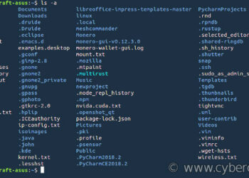 How to remove hidden files in Linux