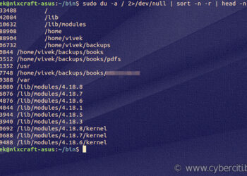 Linux find largest file in directory recursively using find/du