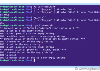 Bash shell find out if a variable has NULL value OR not