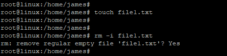 remove a file interactively