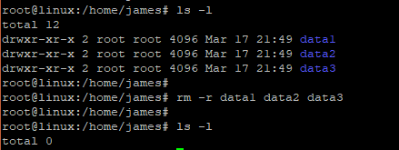 remove multiple directories recursively