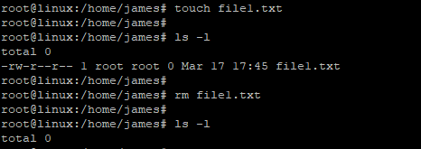 removing a single file with rm command in Linux