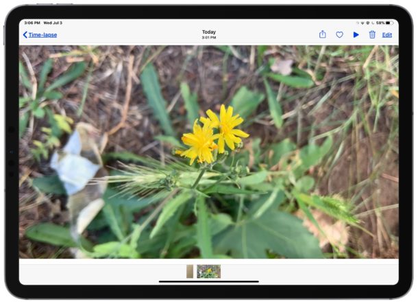 Play the recorded time lapse video on iPad