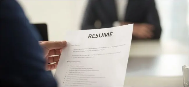 Professional Resume