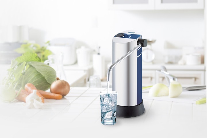 Buying Whole Home Water Filter
