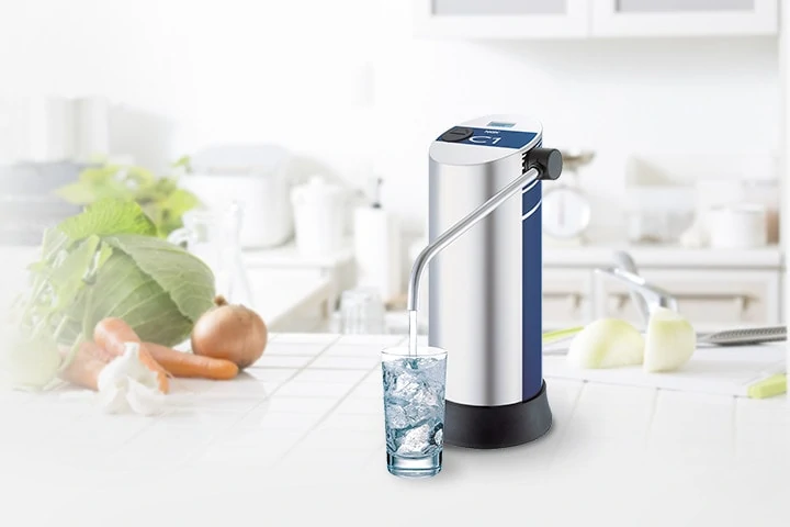 Buying Whole Home Water Filter