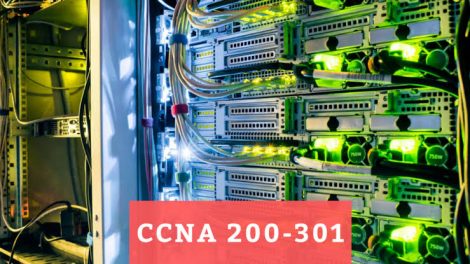 200-301 Prüfungs-Guide