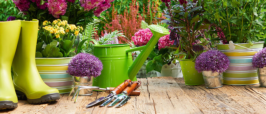 Must Have Tools For Gardening - Techolac