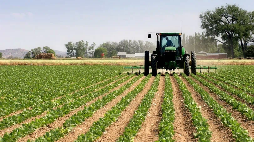 5 Rules for Starting Your Own Farm