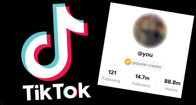 fans and followers on TikTok