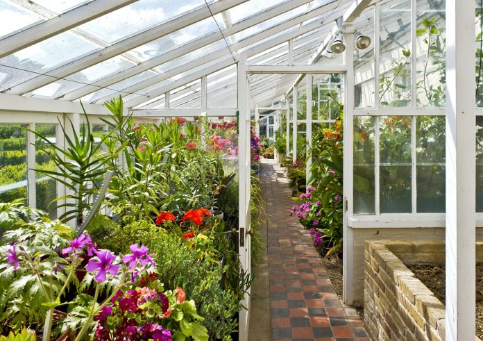 Interior Of The Greenhouse In The Gardens Of Walmer Castle