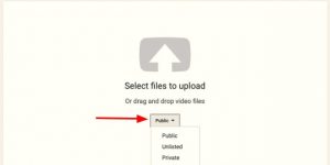 youtube unlisted vs private