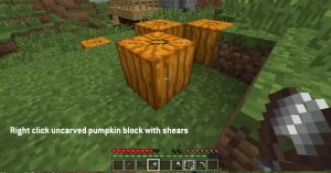 carved pumpkin minecraft