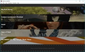 WebTorrent Desktop