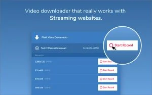 Flash Video Downloader