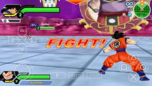 Dragon Ball Z: Tenkaichi Tag Team