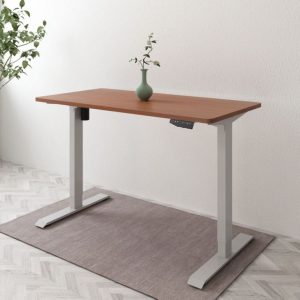 Electric Height Adjustable Desk