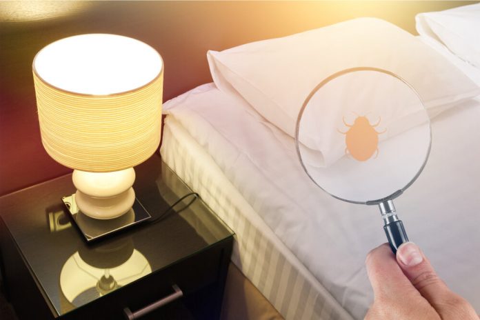 bed+bug+exterminator+Tulsa bed bugs exterminator