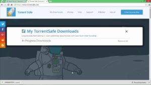 TorrentSafe