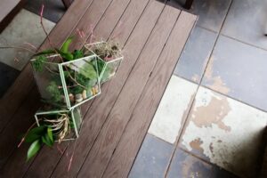 Small Terrarium Garden