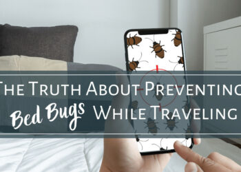 How to prevent bed bugs from spreading