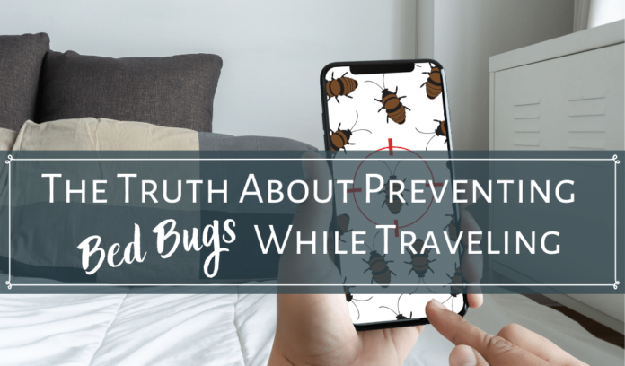 Preventing-Bed-Bugs How to prevent bed bugs from spreading