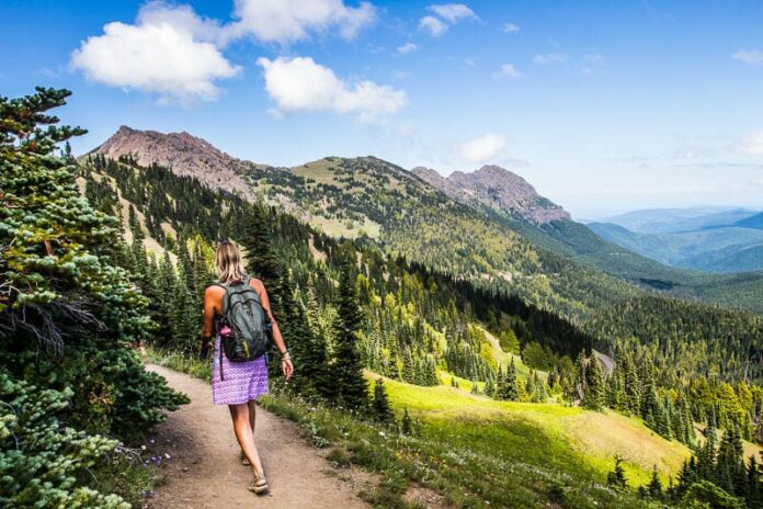 top-things-to-do-in-olympic-national-park