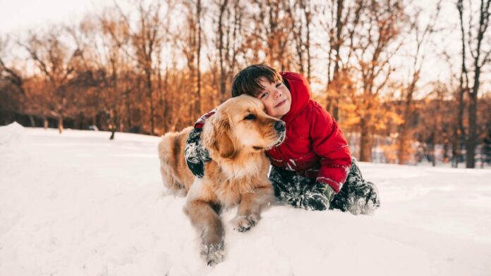 GettyImages-999974612