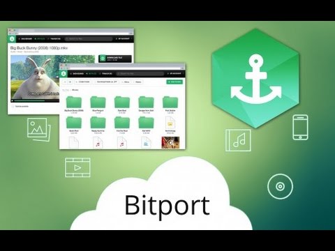 Bitport alternative