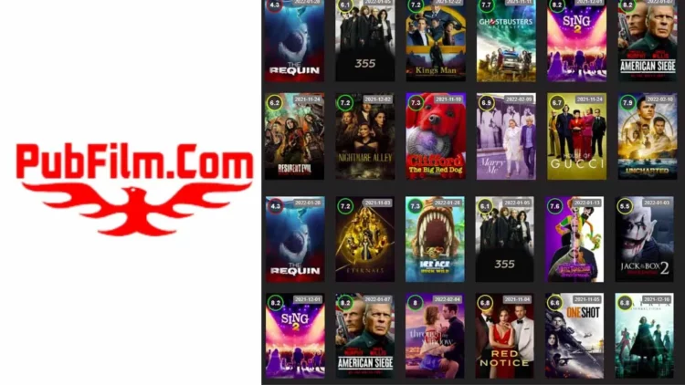Pubfilm 2019 movies store