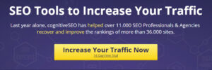 CognitiveSEO