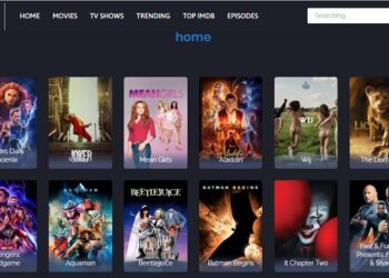 30 BMovies Alternatives To Watch Movies And TV Shows Online