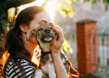 4 Tips for Adopting a Puppy Out of State