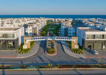 The Essential Guide to Real Estate Investment: What You Need to Know Before You Get Started