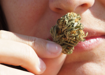 What is THC-O? Where Does THC-O Come From?