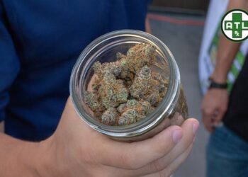 Delta 10 THC: What is It And Why Should You Know About It?