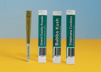 An Overview of Delta 8 THC Pre-rolls