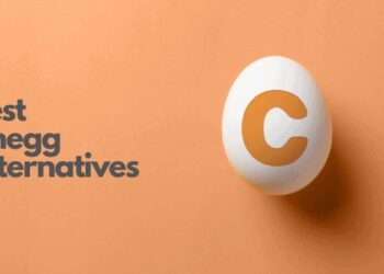 Chegg Alternatives
