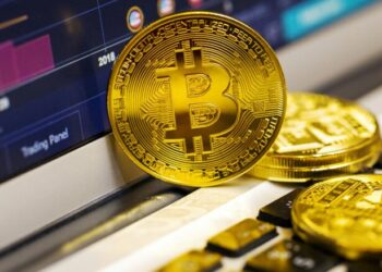The Role of Bitcoin in Disaster Relief
