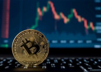The Role of Bitcoin in the New Digital Economy: Disruptive Technology or Passing Fad?