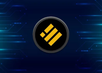 A Simplified Guide on the Binance USD Smart Contract