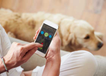 Pet Startups