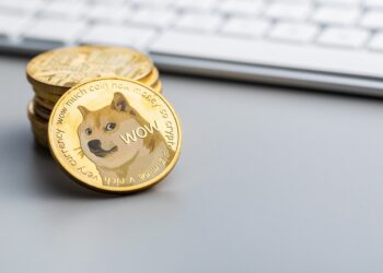 A Quick Guide to Dogecoin
