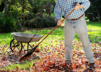4 Ways to Tackle Your Yard Work Chores More Easily