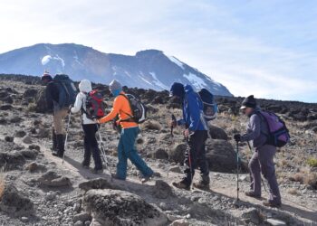 The Ultimate Journey: Lemosho Route 7 Days Adventure