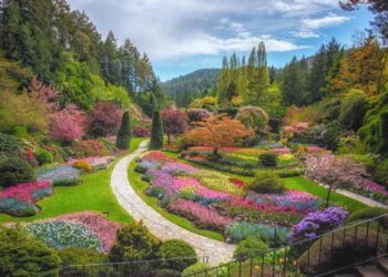Victoria Unveiled: Experiencing British Columbia’s Garden City From the Butchart Gardens to the Royal BC Museum