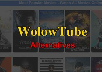 30 WolowTube Alternatives To Watch Movies And TV Shows Online