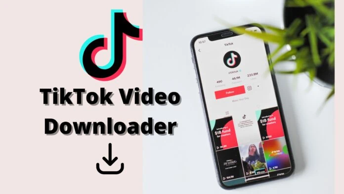 Best TikTok Video Downloader Websites and Apps