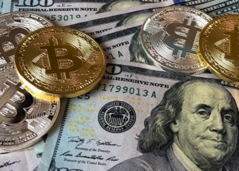 The Rise of Bitcoin Adoption in Developing Countries