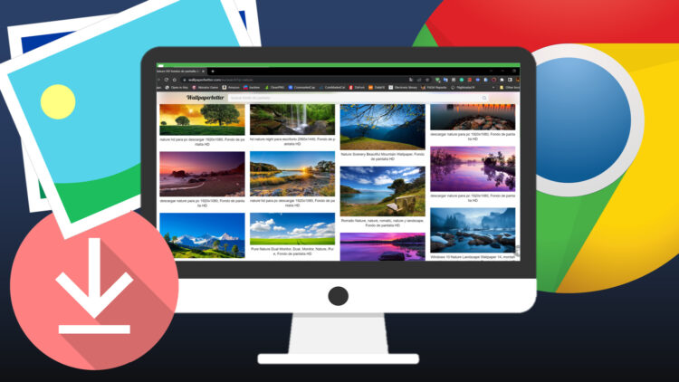 Best Image Downloader Extensions For Chrome